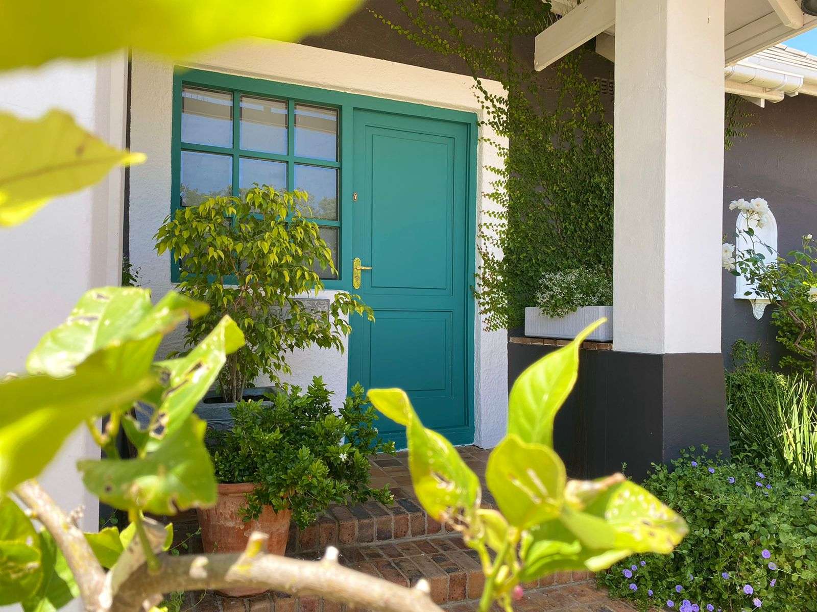 Photograph of aqua green door and window frames as part of an exterior painting job undertaken by Lace Interiors at a Parelvallei home in Somerset West.